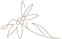 logo-alternative-retina